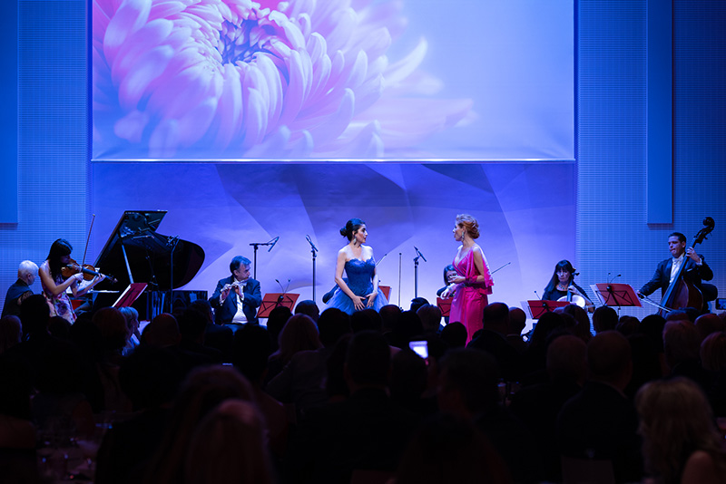 Vienna Residence Orchestra au concert à Paris - Fondation Louis Vuitton